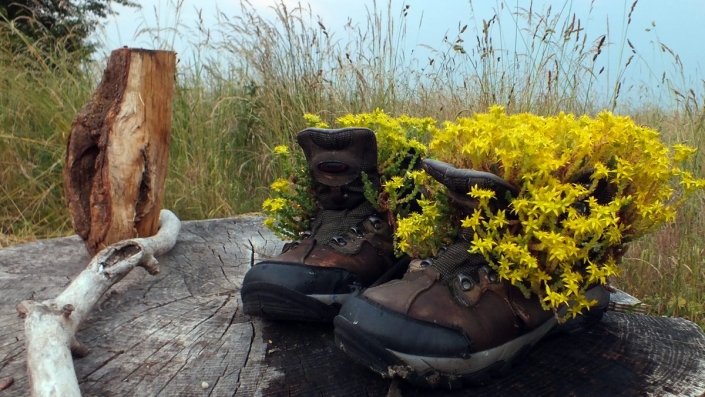 Das Wandern ist des Müllers Lust 81