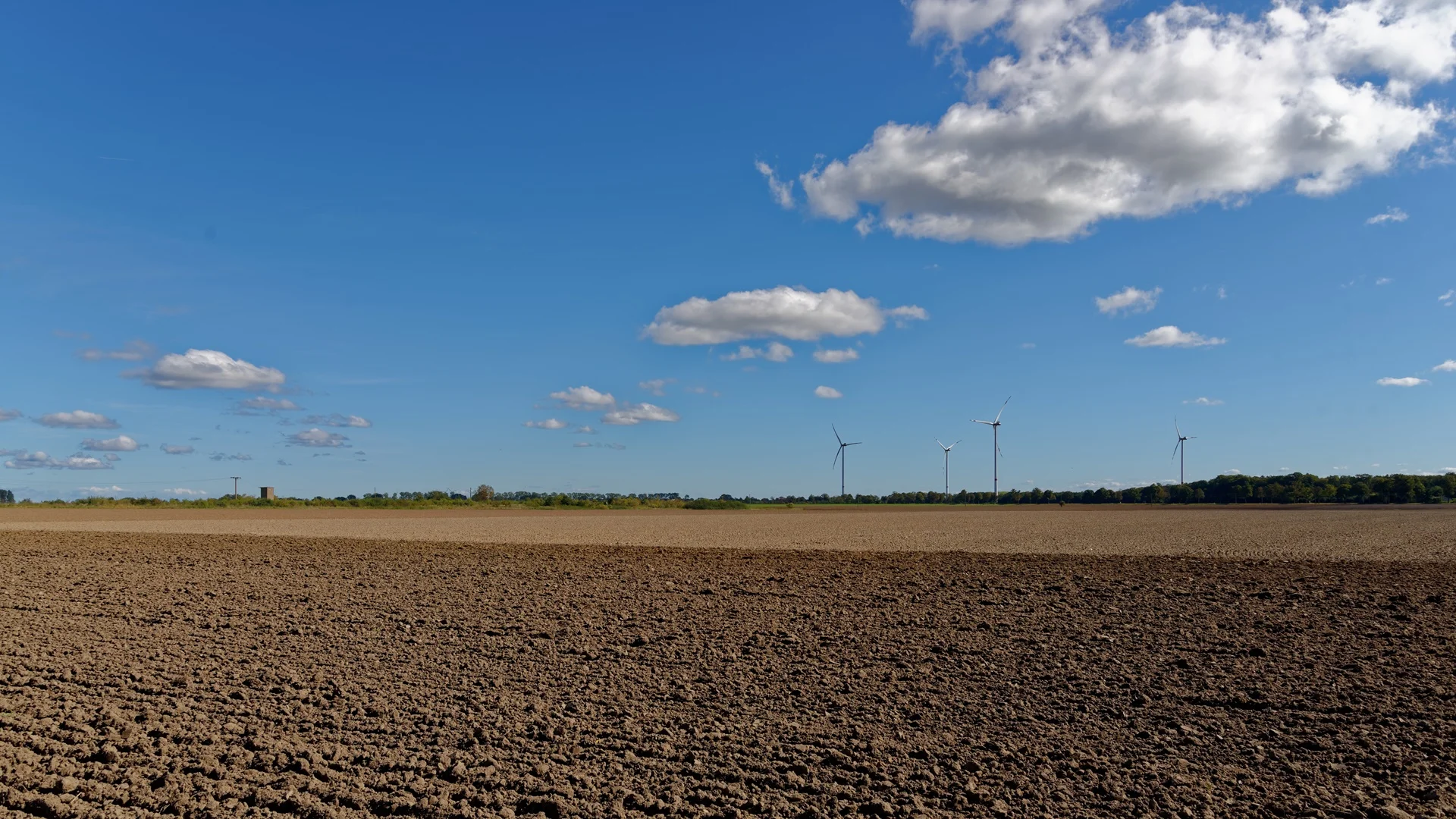 Herbst in der Gemeinde Krien